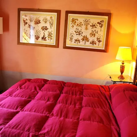 カントリーハウス 