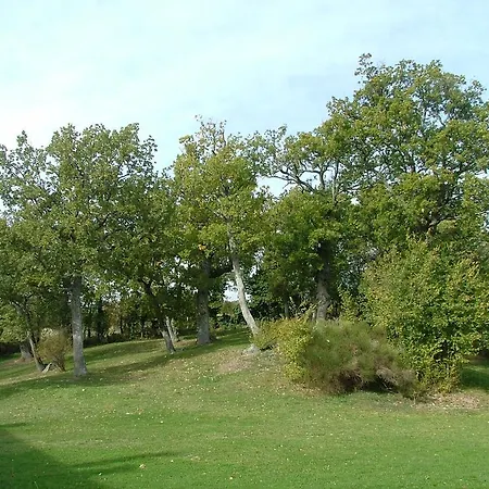 Lantställe 
