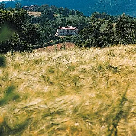 Lantställe 